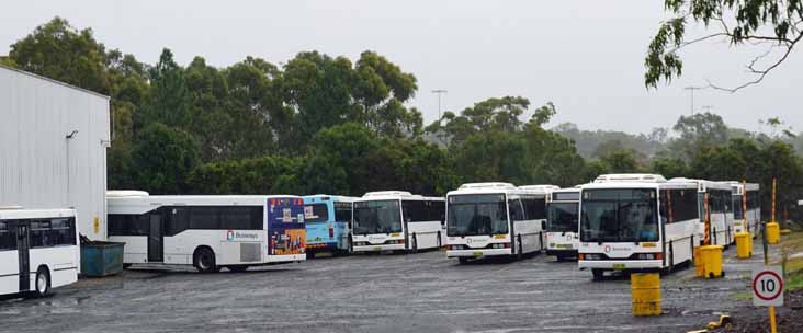 Busways Mercedes O405 Custom 574, 558, 470 & 556